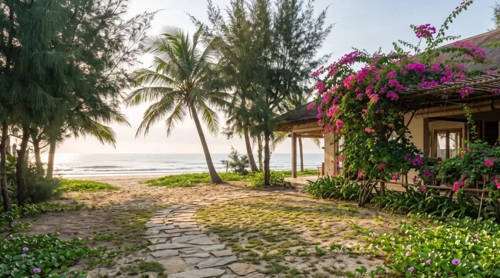 Ảnh minh họa cây chịu mặn sân vườn nhà biển Cửa Lò với phi lao, dừa và hoa giấy