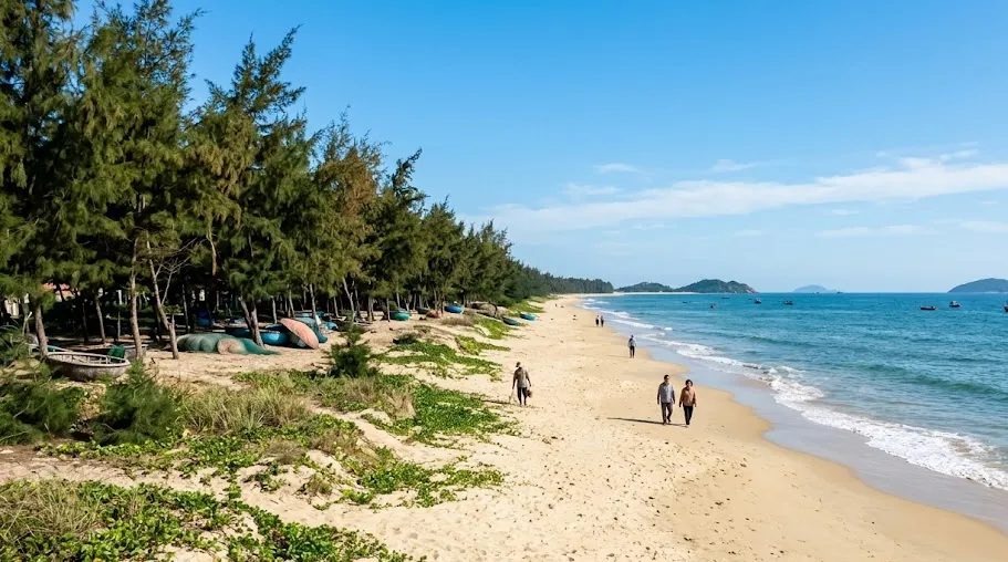 Ảnh minh họa bãi biển Cửa Lò cuối thu trời trong xanh, hàng phi lao ven biển